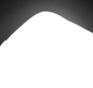 Professional 15.6-Inch Laptop 14