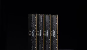KINGSTON 256GB 6800MT/s DDR5 ECC Reg CL34 DIMM Kit of 8 FURY Renegade Pro XMP 5