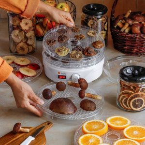 Suszarka spożywcza 250 W do grzybów z 5 poziomową regulacją temperatury 7
