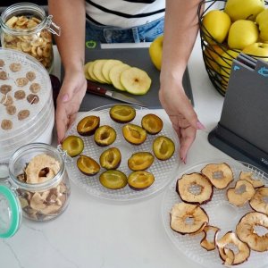 Suszarka spożywcza 250 W do grzybów z 5 poziomową regulacją temperatury 10