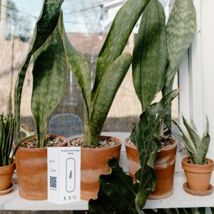 IM002 CZUJNIK WILGOTNOŚCI TEMPERATURY TERMOMETR HIGROMETR 8