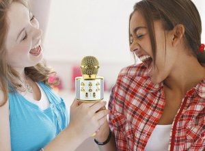 TG67276 MIKROFON BEZPRZEWODOWY KARAOKE DO ŚPIEWANIA BLUETOOTH GŁOŚNIK 15