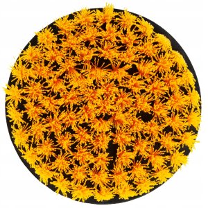 TM-00410 SZCZOTKI CZYSZCZĄCE SPRZĄTAJĄCE NA WIERTARKĘ WKRĘTARKĘ 4szt ZESTAW 4