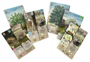 Rebel Forest giveaway: Dartmoor REBEL 4