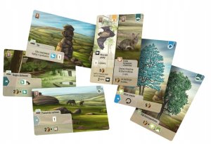 Rebel Forest giveaway: Dartmoor REBEL 5