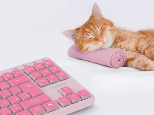 CANYON Keyboard OnType 10 Low Profile EN Wired Pink 4