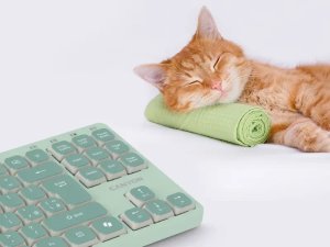 CANYON Keyboard OnType 10 Low Profile EN Wired Green 4