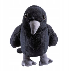 Ravenclaw Zestaw Poduszka + Pluszak Harry Potter 3