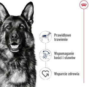 ROYAL CANIN Maxi Adult 15kg 5
