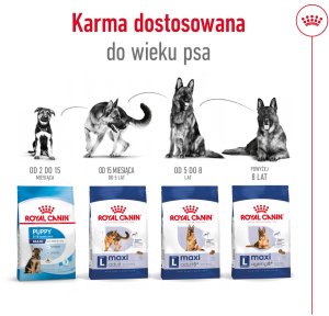ROYAL CANIN Maxi Adult 15kg 8