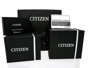 Citizen Promaster AT8020-54L 5