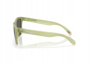 Oakley Frogskins OO9013 9013M2 55 3