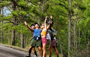 EcoFlow Trail 200 DC 192 Wh 9