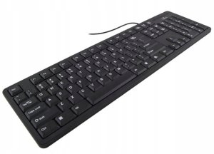 art. poleasingowy Esperansa TITANUM Klawiatura standardowa TK101 USB / 12