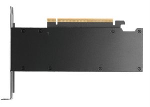 Karta graficzna PNY RTX PRO 2000 Blackwell 16GB GDDR7 (VCNRTXPRO2000-SB) 3