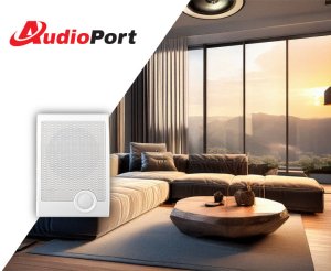 AudioPort Głośnik ścienny radiowęzłowy 15W/100V WS21 one size 2