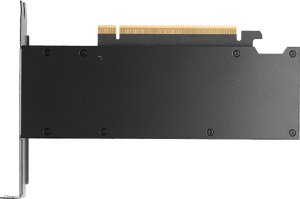 Karta graficzna PNY RTX PRO 2000 Blackwell 16GB GDDR7 (VCNRTXPRO2000-PB) 3