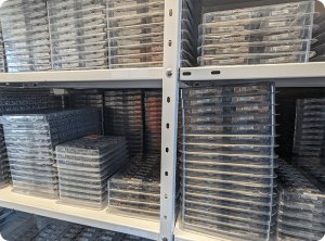 Moduł SFP BlueOptics LACGLX-BO, Fiber optic, 1250 Mbit/s, LC, SFP, 10000 m, 1310 nm 2