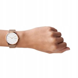 Zegarek Skagen Signatur Slim SKW2784 11