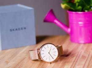 Zegarek Skagen Signatur Slim SKW2784 4