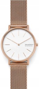 Zegarek Skagen Signatur Slim SKW2784 7