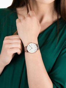 Zegarek Skagen Signatur Slim SKW2784 8