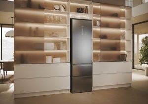Lodówka Haier 3D 60 Serie 5 HTW5620DNMG Wolnostojący 414 l D Srebrny 11
