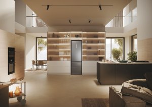 Lodówka Haier 3D 60 Serie 5 HTW5620DNMG Wolnostojący 414 l D Srebrny 9