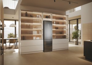 Lodówka Haier 3D 60 Serie 5 HTW5620DNMG Wolnostojący 414 l D Srebrny 10