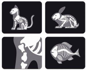 Janod Zestaw weterynarski z 10 akcesoriami 3+ 9