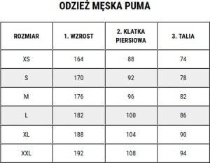 Kurtka męska Puma Kurtka męska Team Goal All Weather zielona 659038 05 M 8