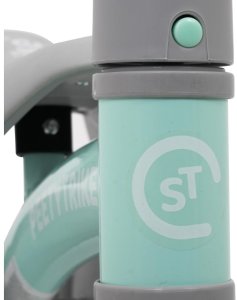 Rowerek biegowy Jeździk SPORTRIKE PettyTrike Z7 zielony 7