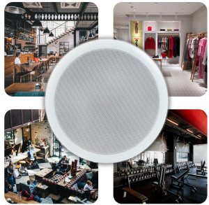 AudioPort Głośnik sufitowy 6'' 5-10W/100V AB104 one size 6