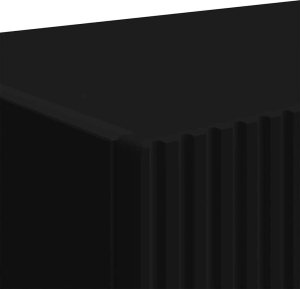 vidaXL Szafka pod telewizor czarna 60 x 31 x 29.5 cm 9