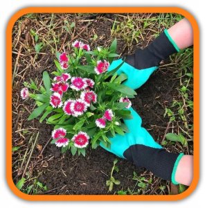 RĘKAWICE RĘKAWICZKI OGRODOWE PAZURY DO OGRODU GRABIE PAZURKI GRABKI PAZUREM 5