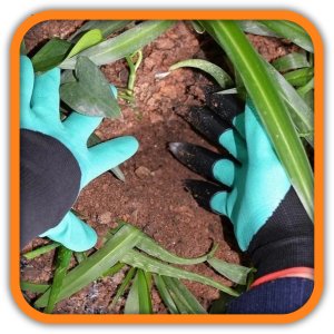 RĘKAWICE RĘKAWICZKI OGRODOWE PAZURY DO OGRODU GRABIE PAZURKI GRABKI PAZUREM 6