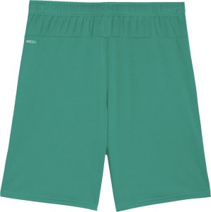 Puma Spodenki męskie Team Goal zielone 705752 05 M 2