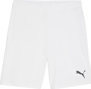 Puma Spodenki męskie Team Goal białe 705752 04 2XL 2