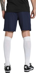 Puma Spodenki męskie Team Goal granatowe 705752 06 L 4