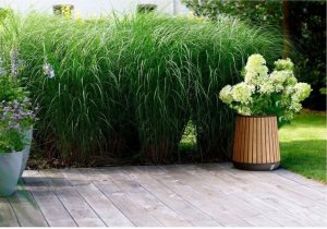 Doniczka Conic Planter VENETIAN Brown 3