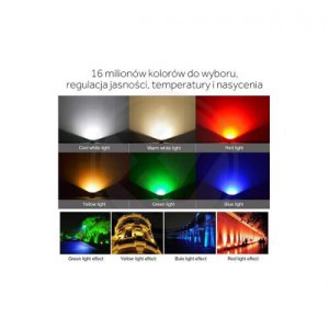 Naświetlacz Mojeledy Naświetlacz LED Milight 10W RGB+CCT FUTT05 3