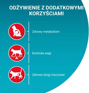 Purina One Cat Sterilcat Karma z wołowiną dla kota 3kg 2