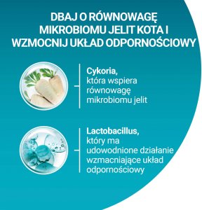 Purina One Cat Sterilcat Karma z wołowiną dla kota 3kg 3