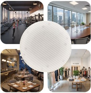 AudioPort Głośnik sufitowy 6,5'' 30W/100V AP838 one size 11