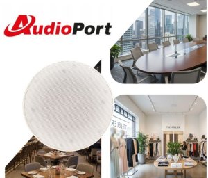 AudioPort Głośnik sufitowy 6,5'' 30W/100V AP838 one size 2
