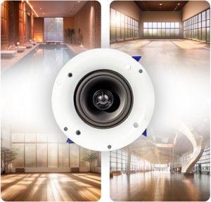 AudioPort Głośnik sufitowy 6,5'' 30W/100V AP838 one size 9