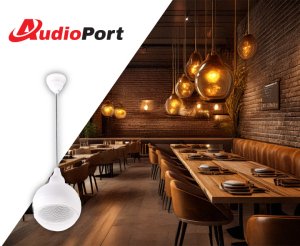 AudioPort Głośnik wiszący 15W/100V AW15-W biały 2