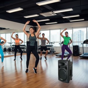 Kolumna mobilna Ibiza PORT15VHF-BT + pokrowiec one size 19