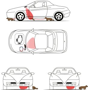 Antykuna.pl Odstraszacz do Auta ON/OFF 1 Stronny 12V 7