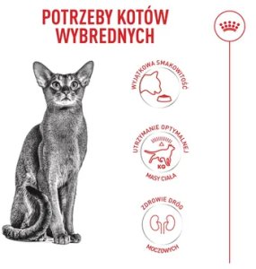 Royal Canin Fussy Exigent 2kg karma sucha dla kotów dorosłych, wybrednych 8